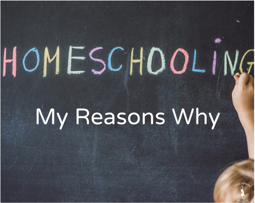 reasons against homeschooling